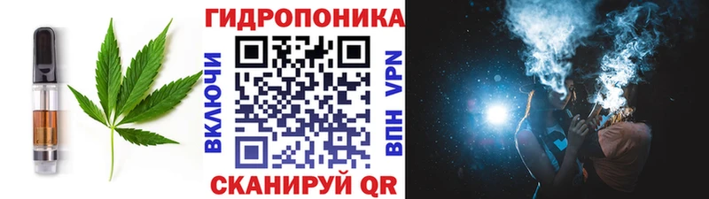 Canna-Cookies конопля  купить  цена  Обь 