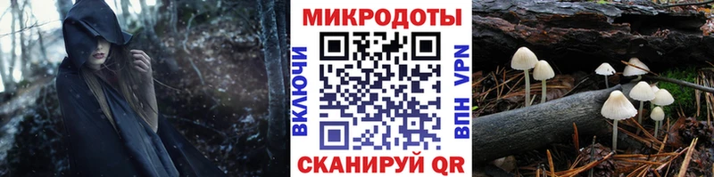 darknet Telegram  Обь  Галлюциногенные грибы Cubensis 